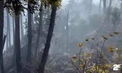 Orman yangınına müdahale çevre illerden destekle devam ediyor