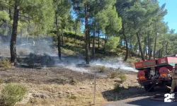 Vadide çıkan orman yangını, büyümeden söndürüldü!