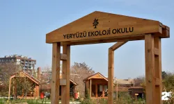 Yeryüzü ekoloji okulu ekim ayı atölyeleri başlıyor