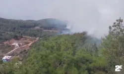 Hatay'da orman yangını