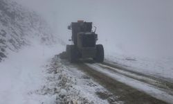 Kapanan yollar yeniden ulaşıma açıldı