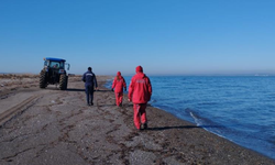 İstanbul'da denize düşen iki kardeş için Çanakkale'de de arama çalışması başlatıldı