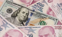 Dolar 35 lirayı aştı