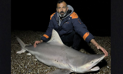 Eskişehirli balıkçı köpekbalığı yakaladı