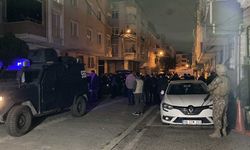 Dana eti ve kuzu eti alımı