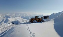 Hakkari askeri üs bölgelerde karla mücadele sürüyor