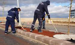 Eskişehir Büyükşehir'den su kıtlığına karşı kuru peyzaj uygulaması