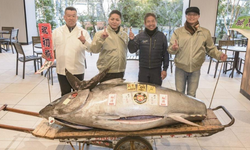 Japonya'daki yeni yıl mezatı: 276 kiloluk orkinos 1,3 milyon dolara satıldı