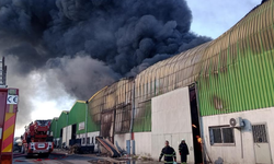 Adana'da geri dönüşüm fabrikasında yangın!