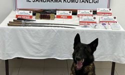 Jandarma ekiplerinden madde operasyonu: 1 tutuklama