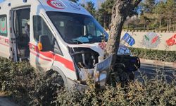 Hasta taşıyan ambulans ağaca çarptı