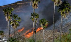 California’da çıkan yeni yangın kontrol altına alındı, 1 kişi gözaltında