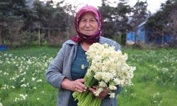 Karaburun'u nergis kokusu sardı