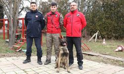 K-9 arama kurtarma köpeği 'Adam', Türkiye'nin en genç eğitmeni ile afetlere hazırlanıyor