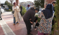 Bursa'da 4 büyüklüğünde deprem!