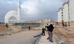 Odunpazarı Belediyesi'nden cami temizliği