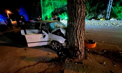 Virajı alamayan otomobil ağaca çarptı: 1 ölü, 3 yaralı