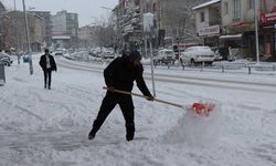 Erzurum'da kar yağışı ilçeleri adeta felç etti