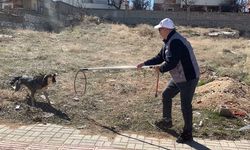 Karaman'da köpeğin saldırısından oğlunu kurtarmak isteyen baba yaralandı