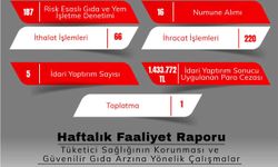 Gıda denetimlerinde 1 milyon 433 bin 772 TL para cezası kesildi