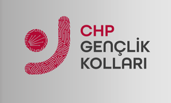 CHP Odunpazarı  Gençlik Kolları Başkanı belli oldu