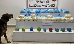 110 kilo yasaklı madde ele geçirildi