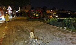 Otomobil kaldırıma çarpıp bahçeye uçtu, polis memuru sürücü ağır yaralandı