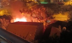Korkutan odunluk yangını!