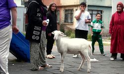 Kuzuya evlatları gibi bakıyorlar