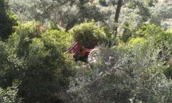 Kontrolden çıkan traktör ormanlık alana devrildi!
