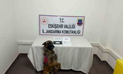 Eskişehir’de ilçeye uyuşturucu taşıyan 2 şüpheli yakalandı