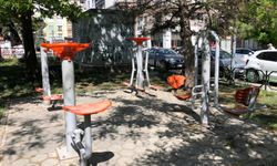 Eskişehir'de park bakımsızlığa terk edildi
