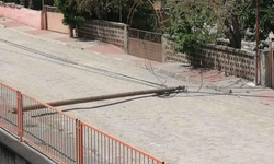 Yıkılan ahşap direk panik yarattı