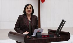 CHP'li Süllü: Yargı kararlarına karşın Alpu Ovası'nı katletmekte ısrarcılar