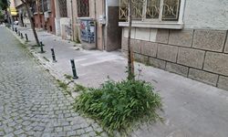 Eskişehir’de sokakların bakımsızlığı dikkat çekti