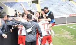 Profesyonel liglere geri dönüş
