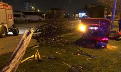Kayseri'de otomobil ağaçlara çarpıp ters döndü: 2 yaralı