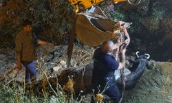 Düştüğü su kanalında çamura saplanan inek, kepçeyle kurtarıldı