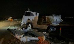 Devrilen tırdan karayoluna saçılan kilolarca balık telef oldu
