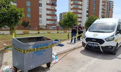 Çöp konteynerinden insan kafatası çıktı