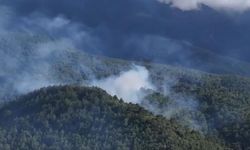 Hatay'da orman yangını