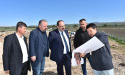Anadolu’dan Sofraya Kum Mercimeği Eleme ve Paketleme Tesisi Projesi