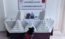 Uyuşturucu operasyonu: 1 tutuklama