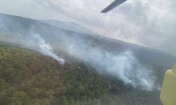 Aydın’da orman yangını