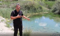 Bu canlı akvaryum turizme kazandırılmayı bekliyor