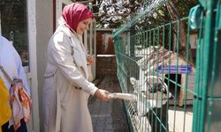 Üniversite öğrencilerinden Doğal Yaşam Merkezi'ne ziyaret