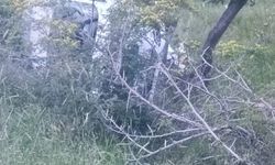 Otomobil devrildi: 1 yaralı