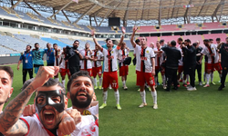 Alnımızın akıyla