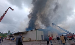 Sakarya'da fabrika yangını