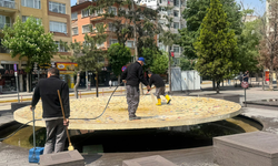 Yediler Parkı’nda sessiz temizlik: Güvercinlerin su içtiği havuz yıkandı!